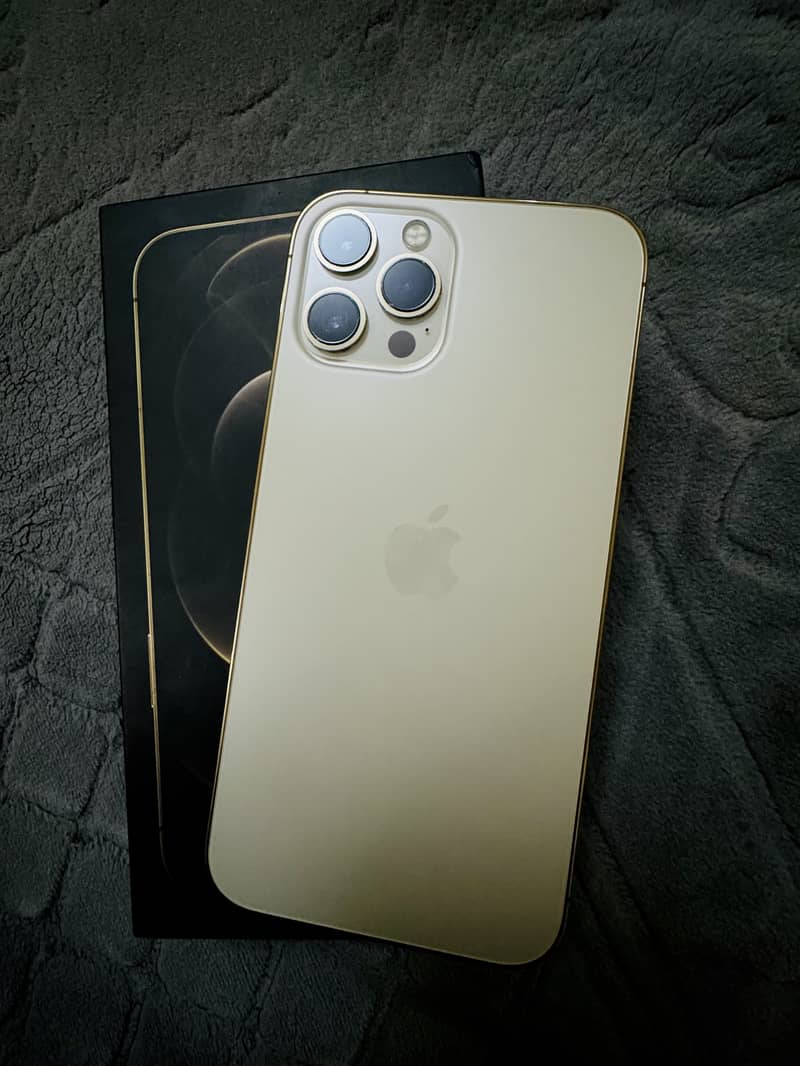 Apple iPhone 12 Pro Max 0