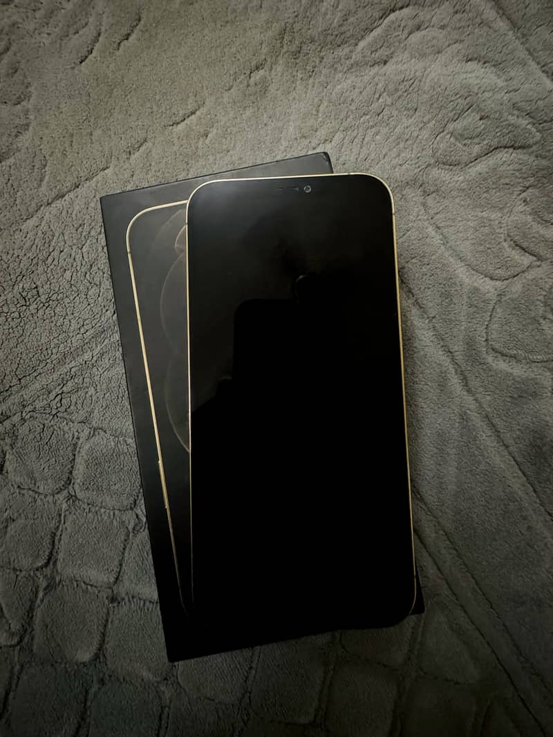Apple iPhone 12 Pro Max 1