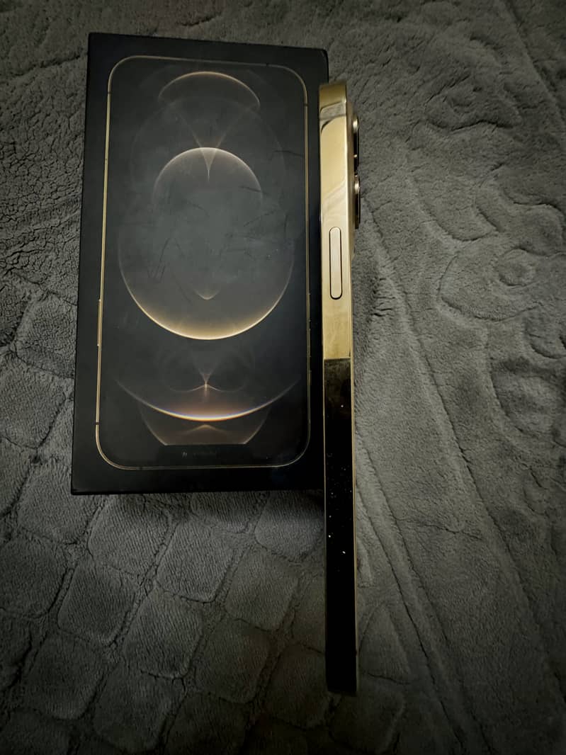 Apple iPhone 12 Pro Max 2