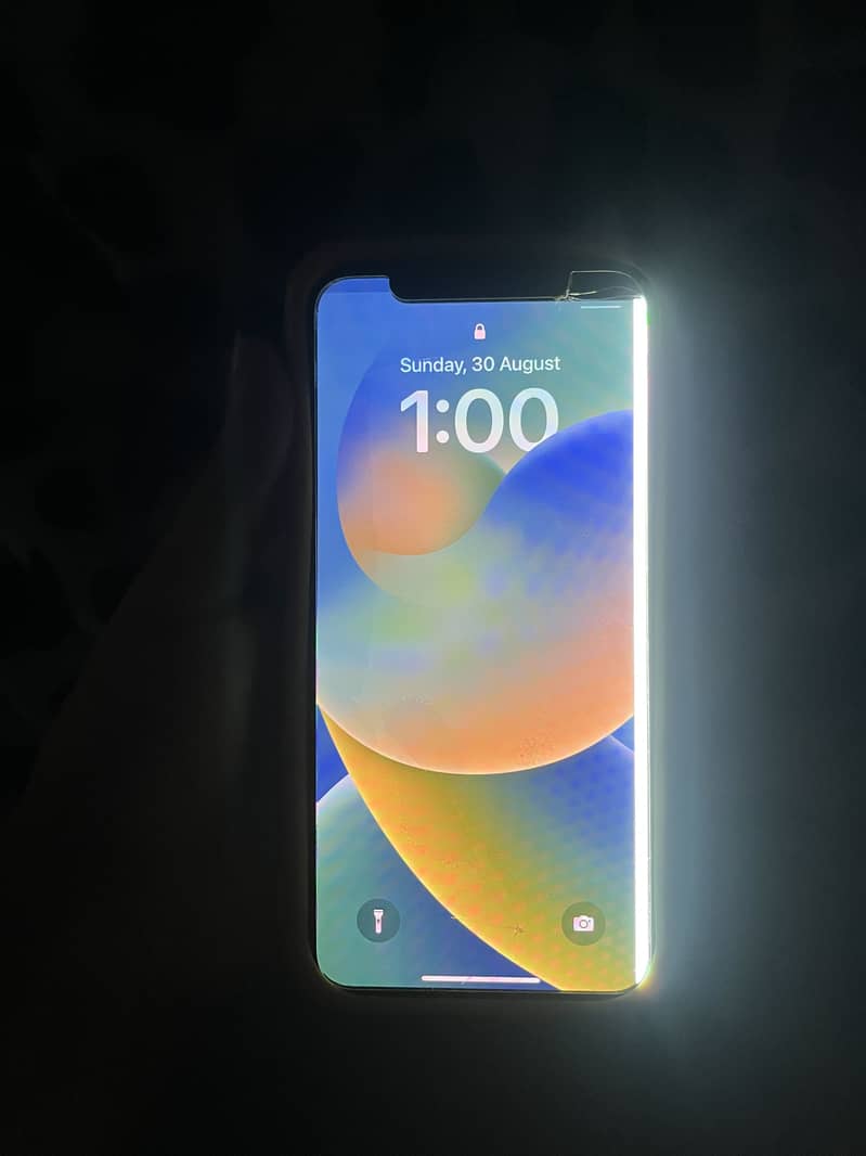 Apple iPhone X 5