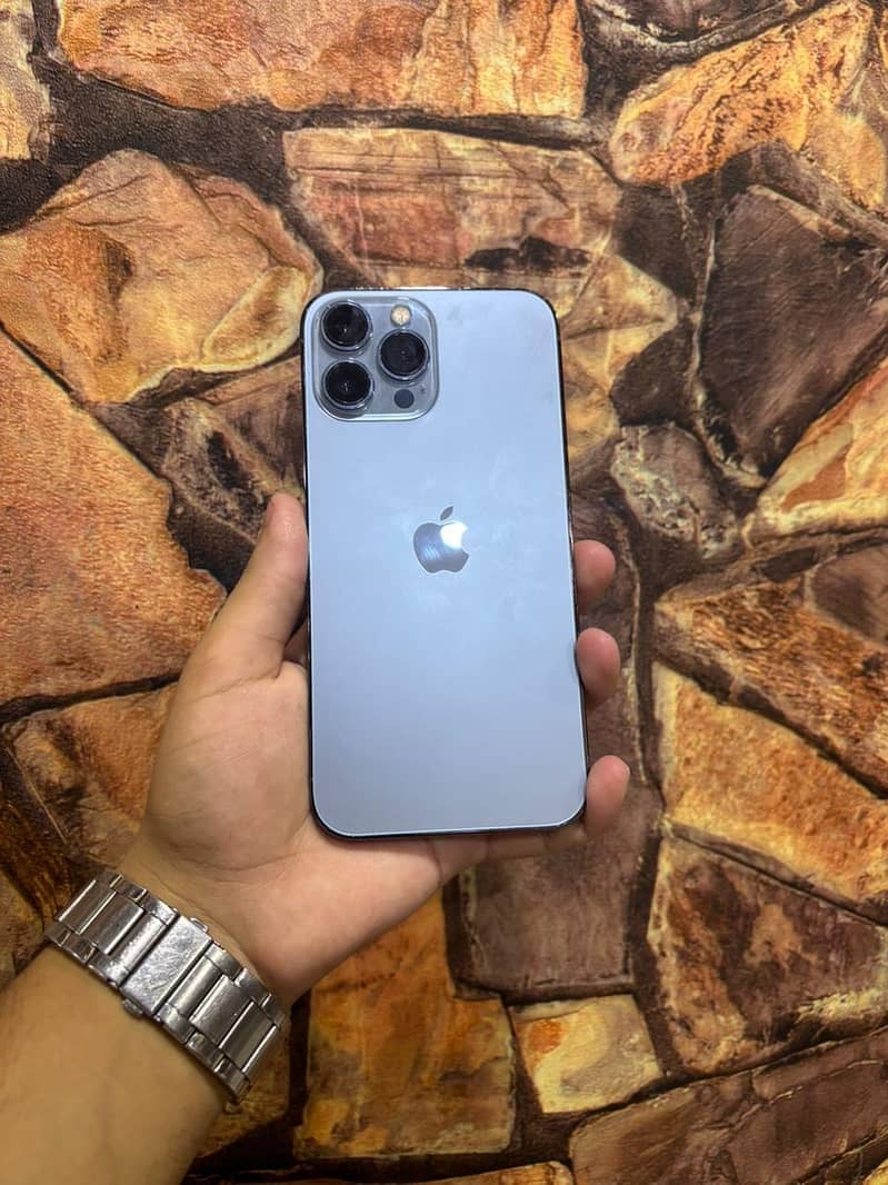 Apple iPhone 13 Pro Max 0