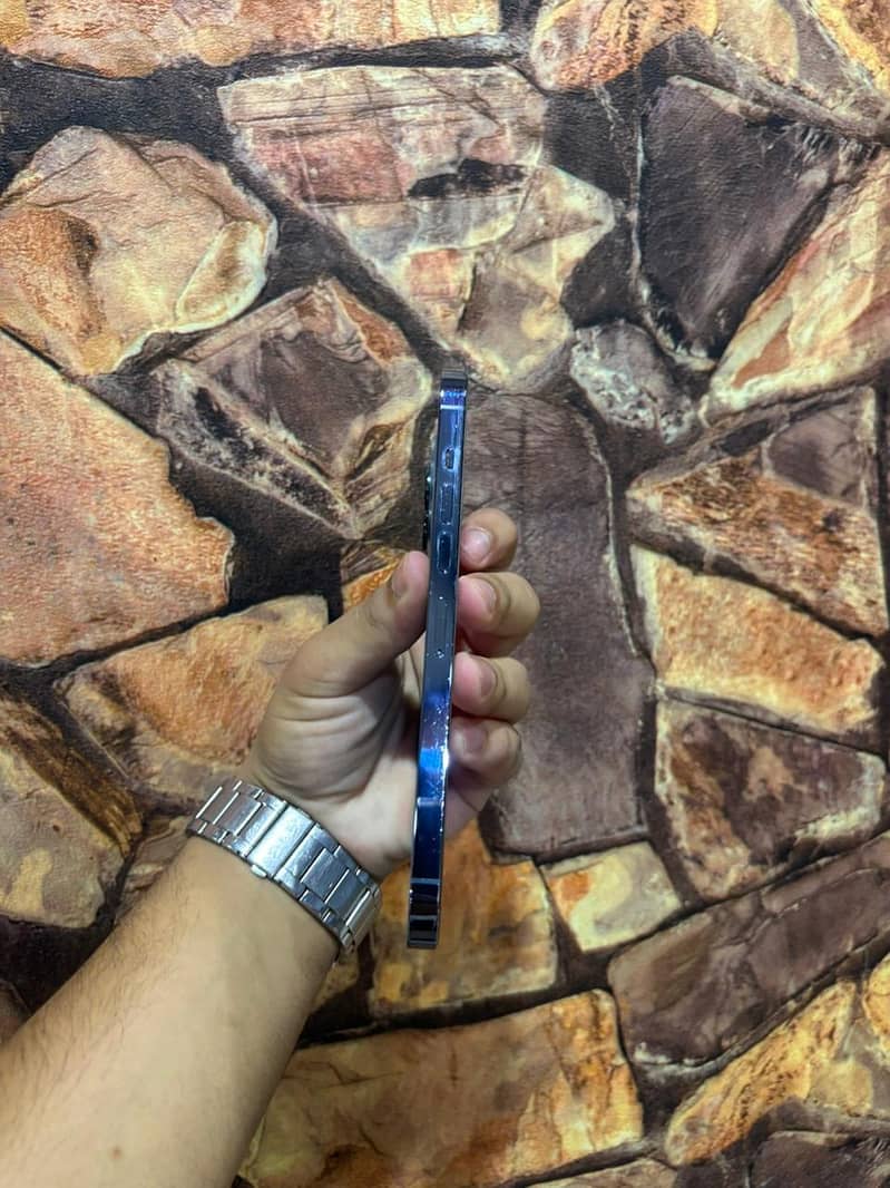 Apple iPhone 13 Pro Max 2