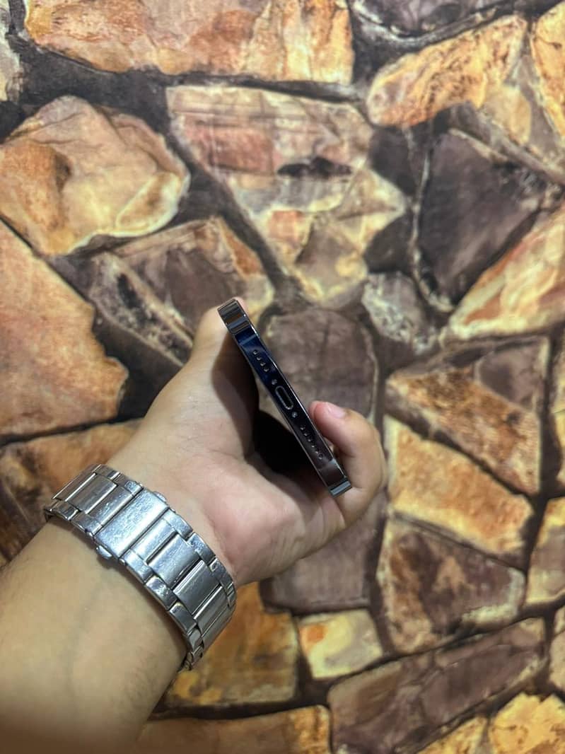 Apple iPhone 13 Pro Max 4