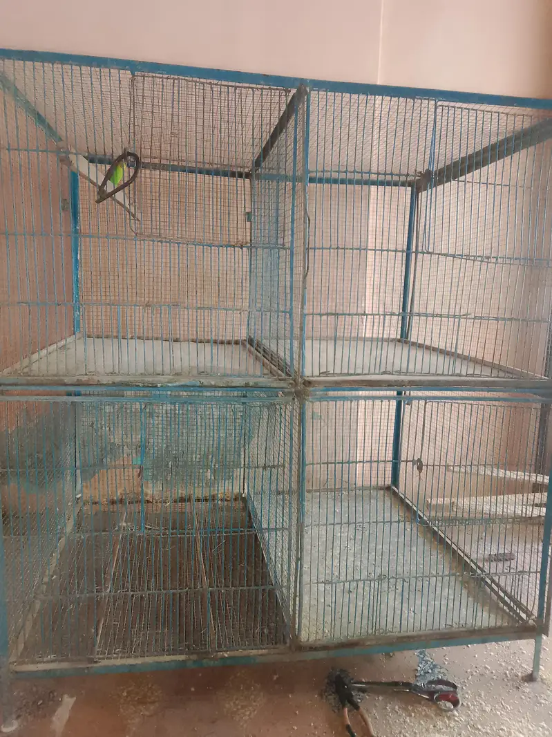 4 partition cage is number per WhatsApp Karen 03157799124 — photo 2