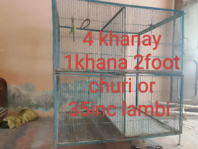 4 partition cage is number per WhatsApp Karen 03157799124 — photo 3