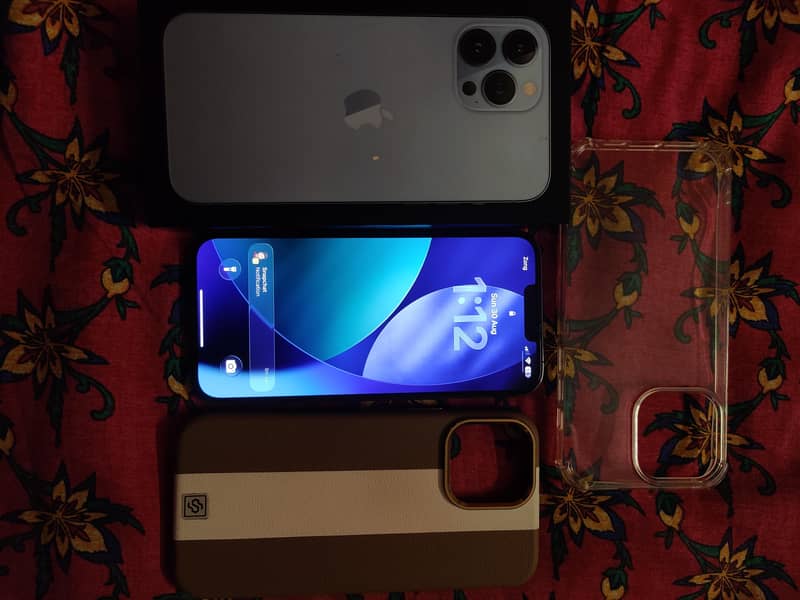 Apple iPhone 13 Pro Max 1