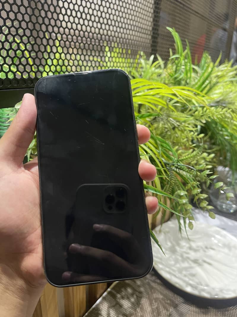 iPhone 13 Pro Max 1