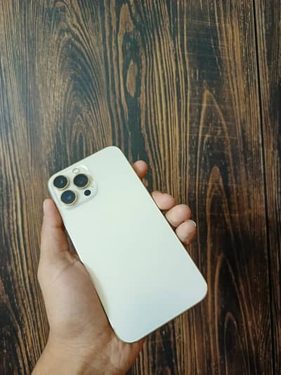 Apple iPhone 13 Pro Max