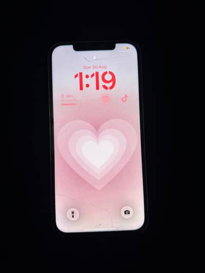Apple iPhone 12 pro max