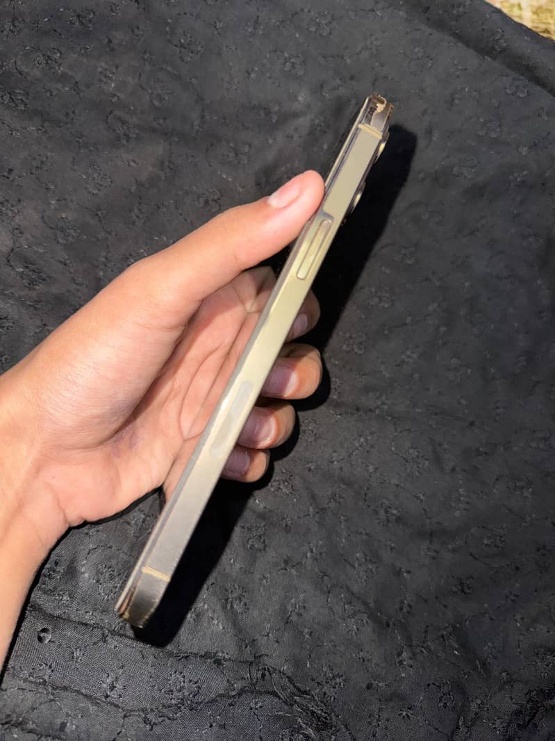 Apple iPhone 12 pro max 2
