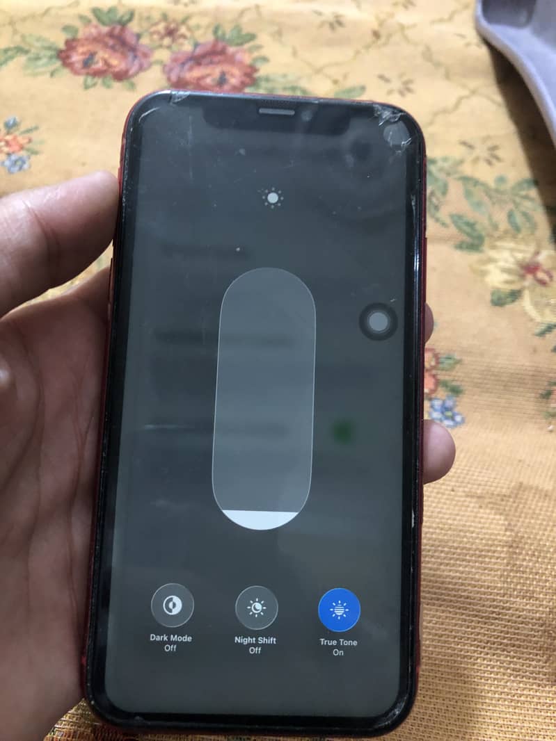 Apple iPhone 11 2