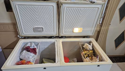 double door deep freezer