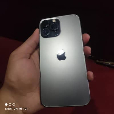 Apple iPhone 13 Pro Max