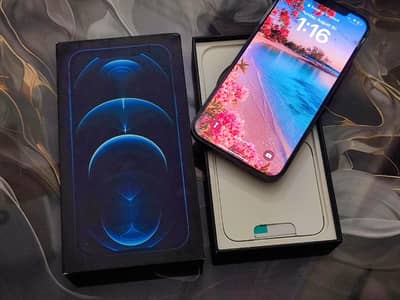 iPhone 12 Pro Max (Mint) – Complete Accessories