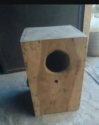green parrot house