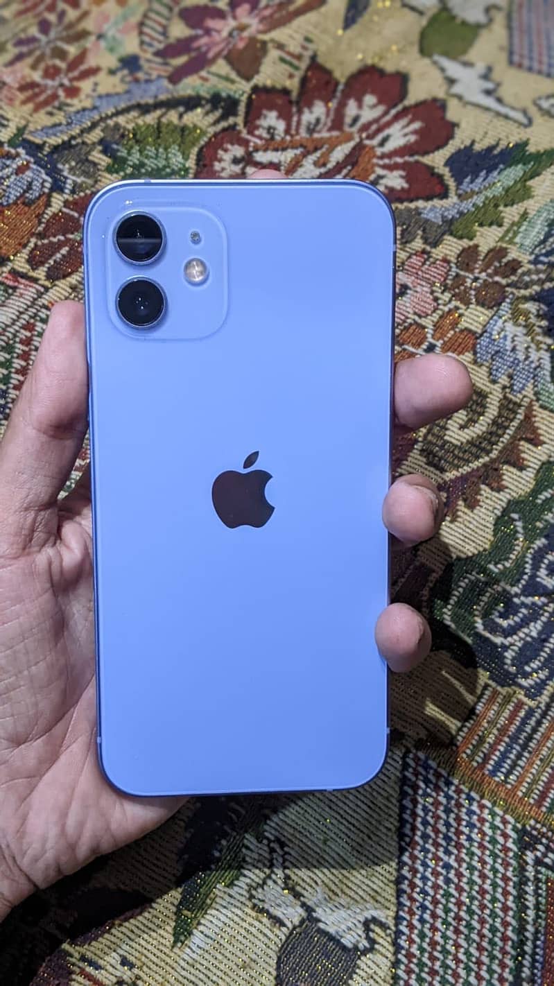 Apple iPhone 12 1