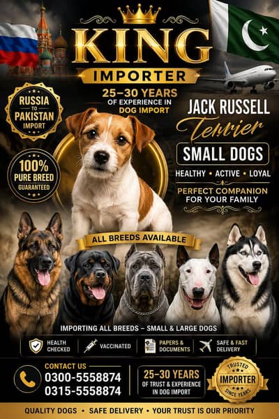 ALL DOGS IMPORTER