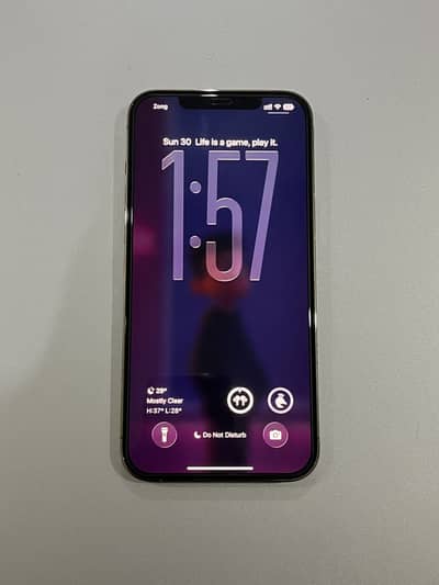 Apple iPhone 12 Pro Max