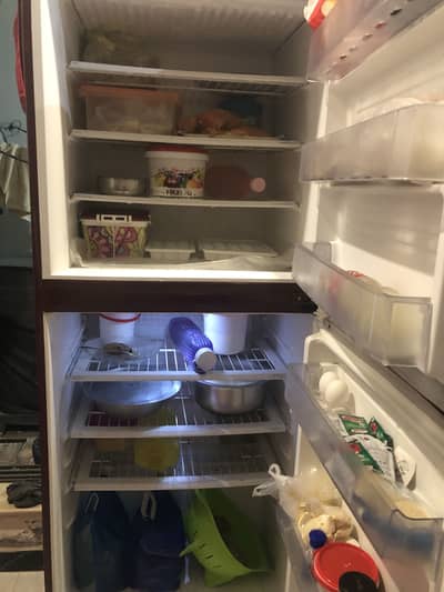 Pel Fridge jumbo size