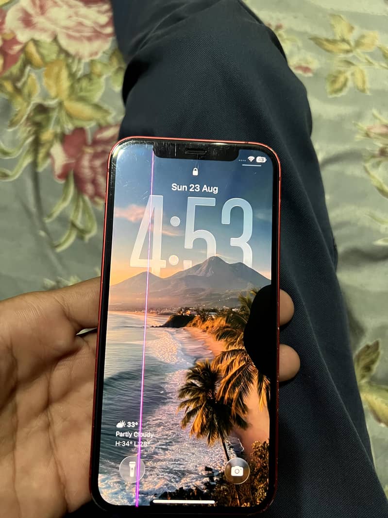Apple iPhone 12 1