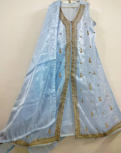 Shesha silk coat