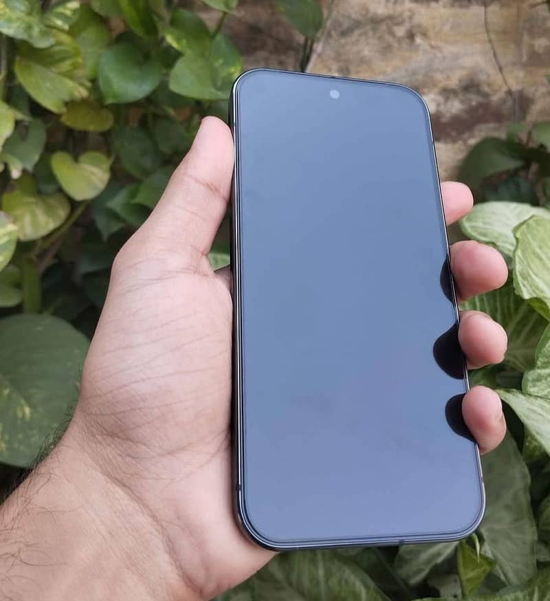 Google Pixel 9 Pro 1