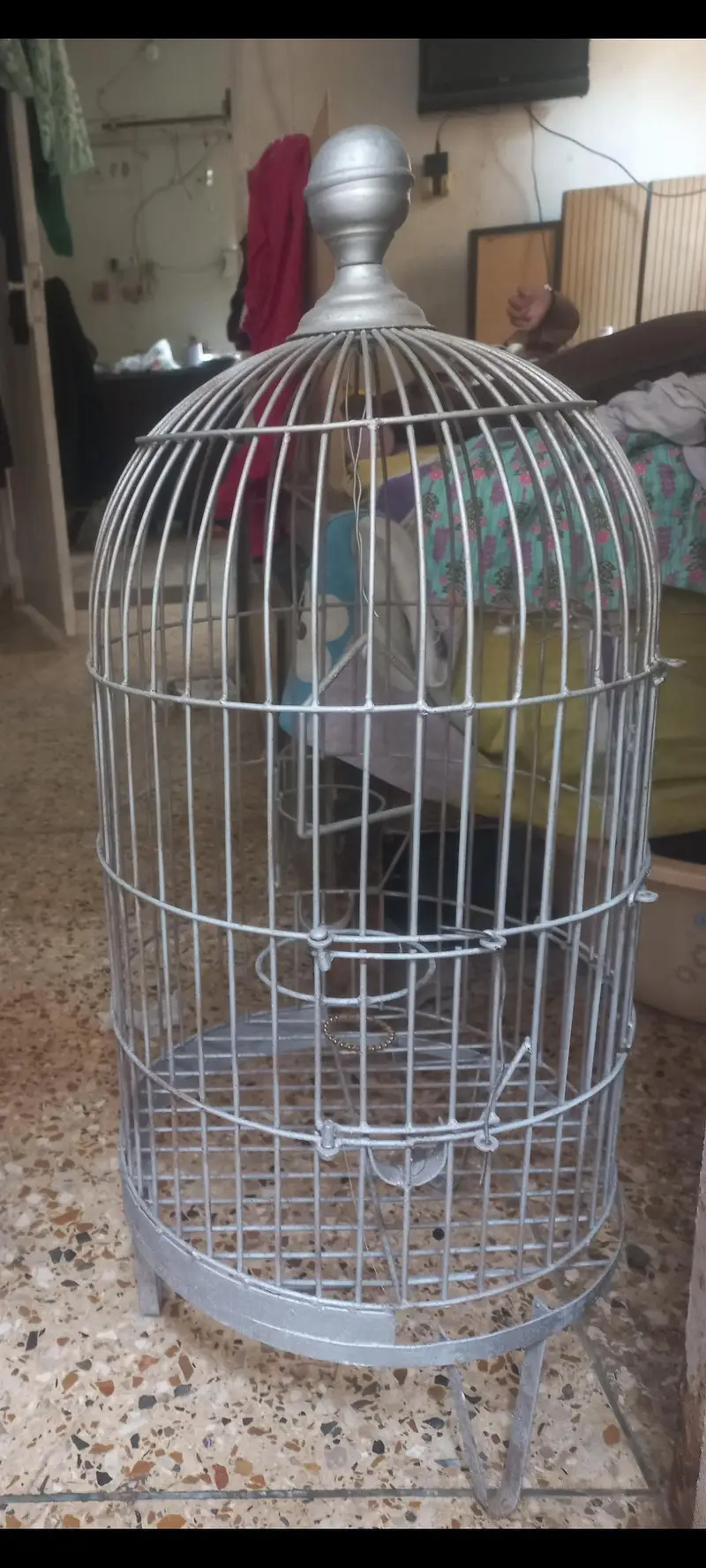 cage for grey parrot and row