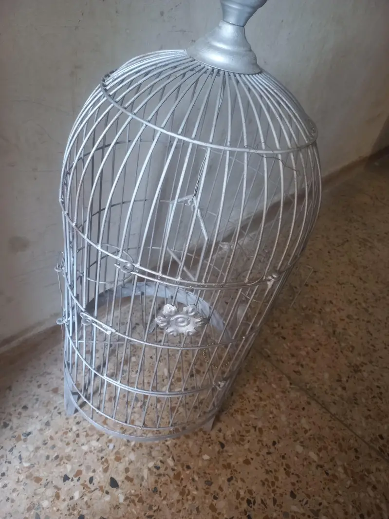cage for grey parrot and row — photo 2