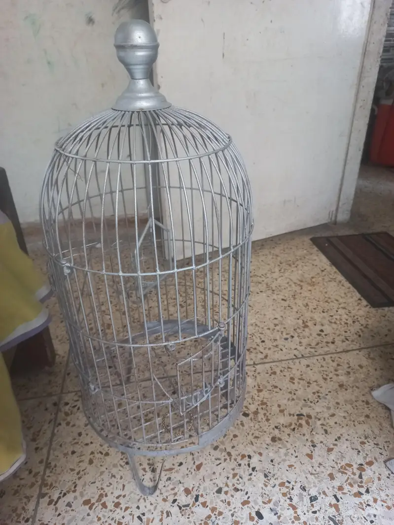 cage for grey parrot and row — photo 3