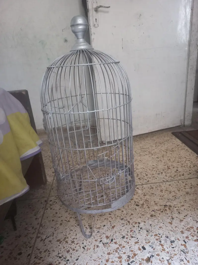 cage for grey parrot and row — photo 4