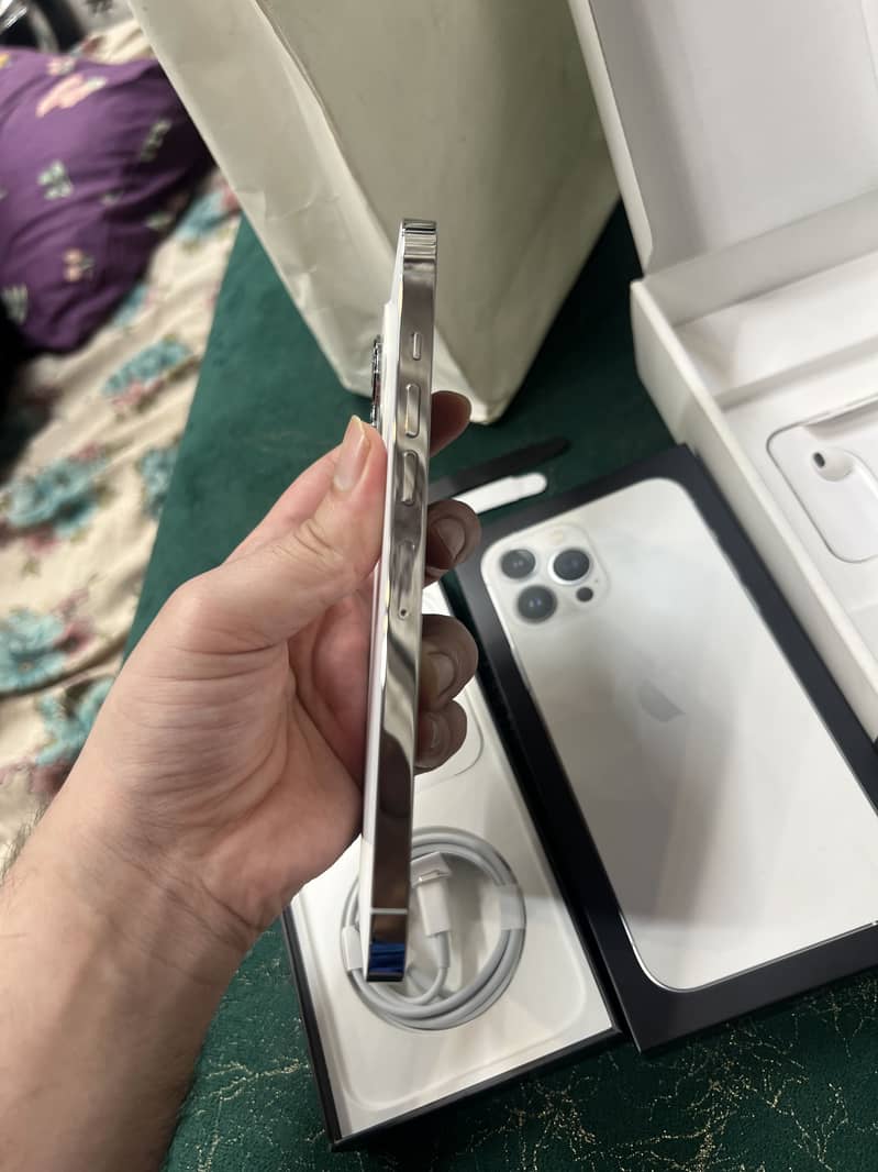 Apple iPhone 13 Pro Max 1