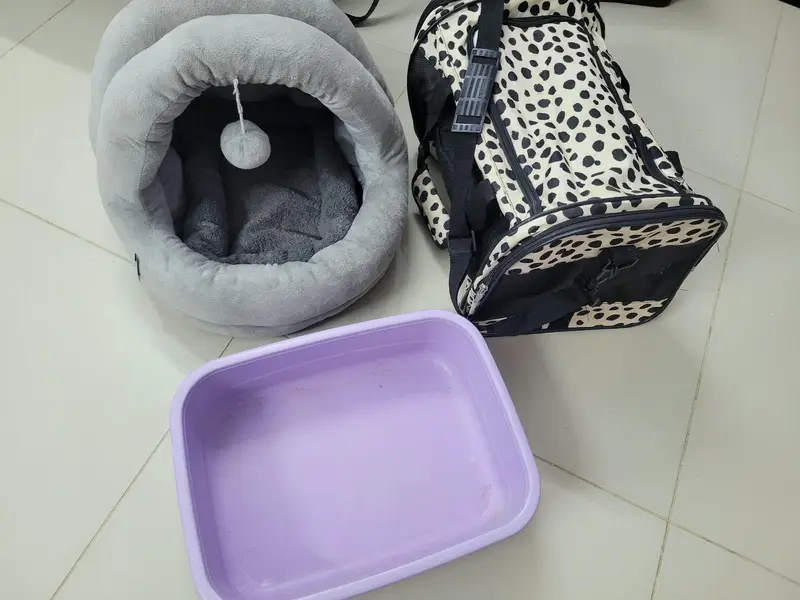 KITTEN HOUSE LITTER TUB AND CAT CARRY BAG — photo 2