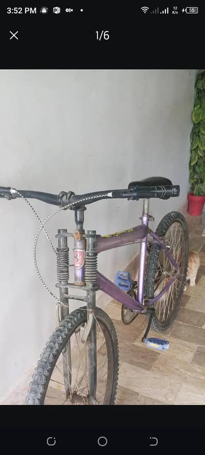 cycle 30 no