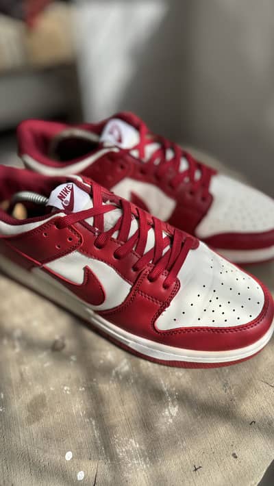 Original Thrifted Nike Dunks
