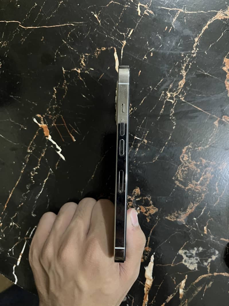 Apple iPhone 13 Pro 6