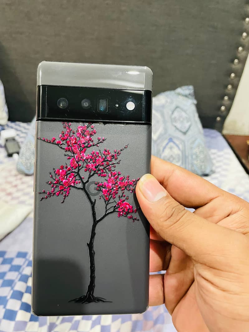 Google Pixel 6 Pro 2