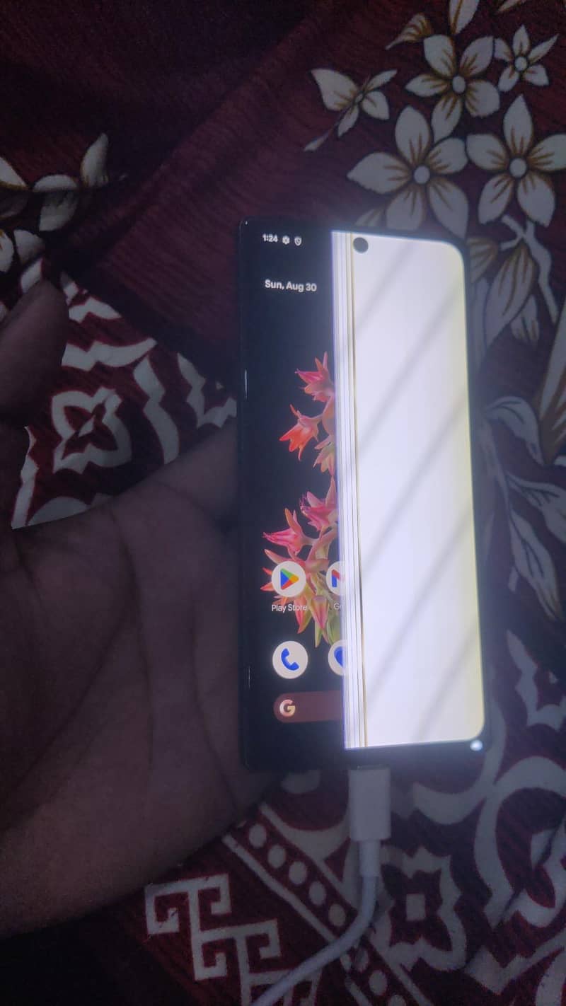Google Pixel 6 pta 4