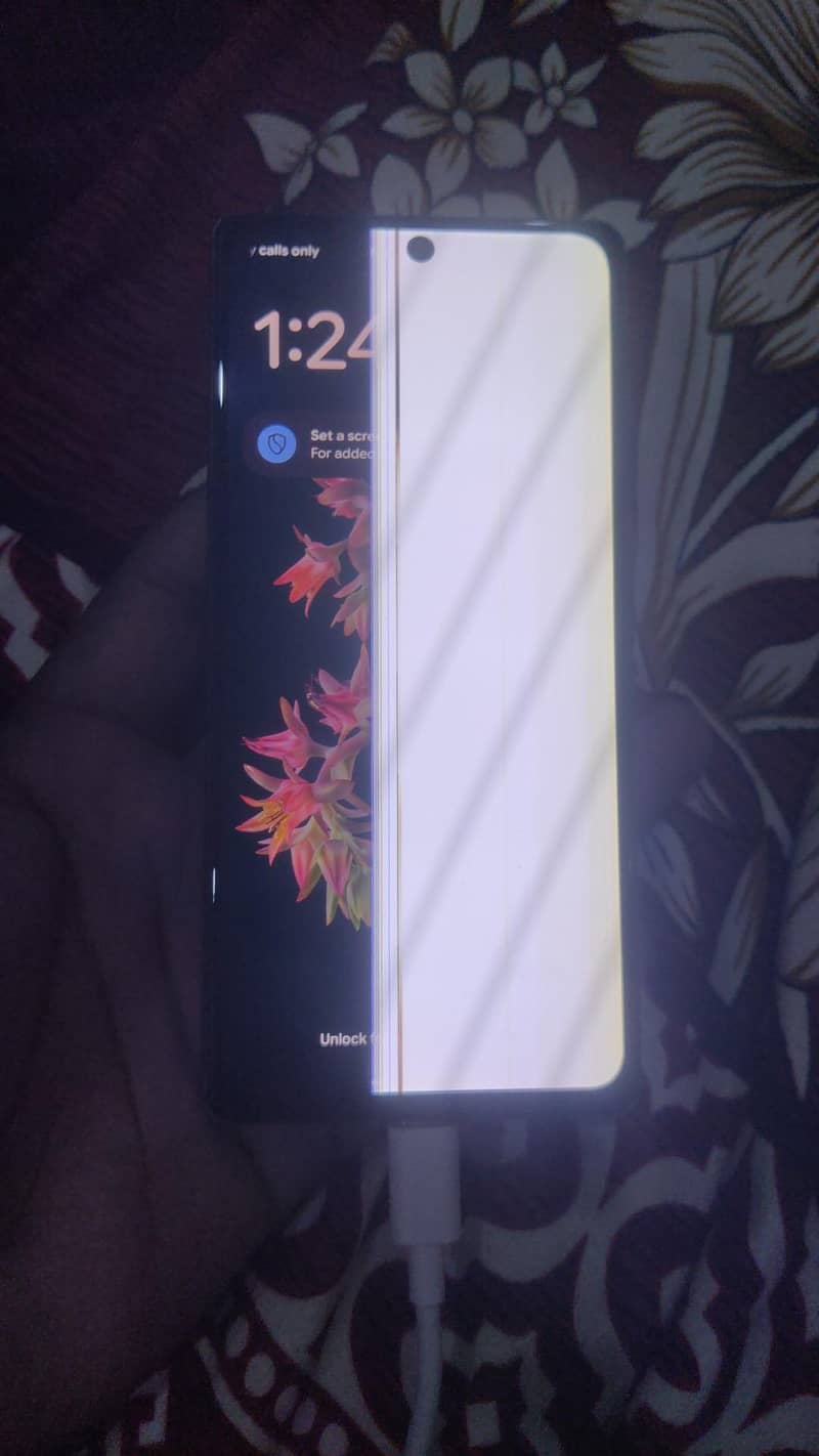 Google Pixel 6 pta 5