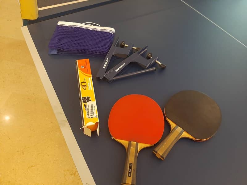 Table tennis table 2