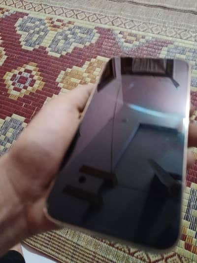 13 pro max