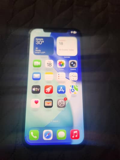Apple iPhone 12 Pro Max