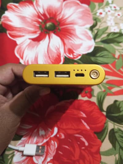 power bank