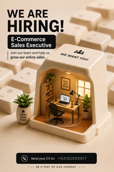 E-Commerce Sales Executive
