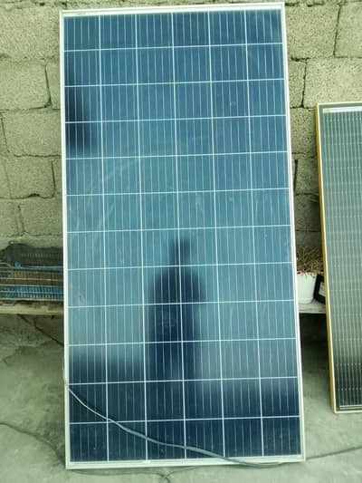 03318417581
