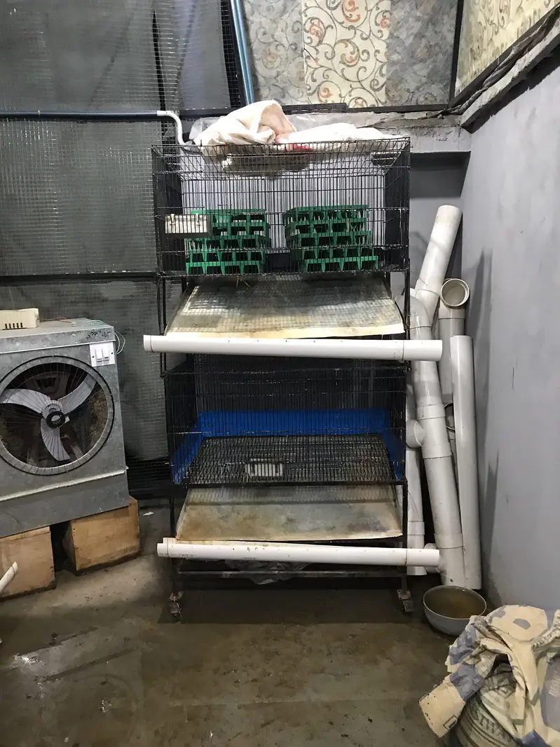 Rabbit Cages All Modified — photo 6
