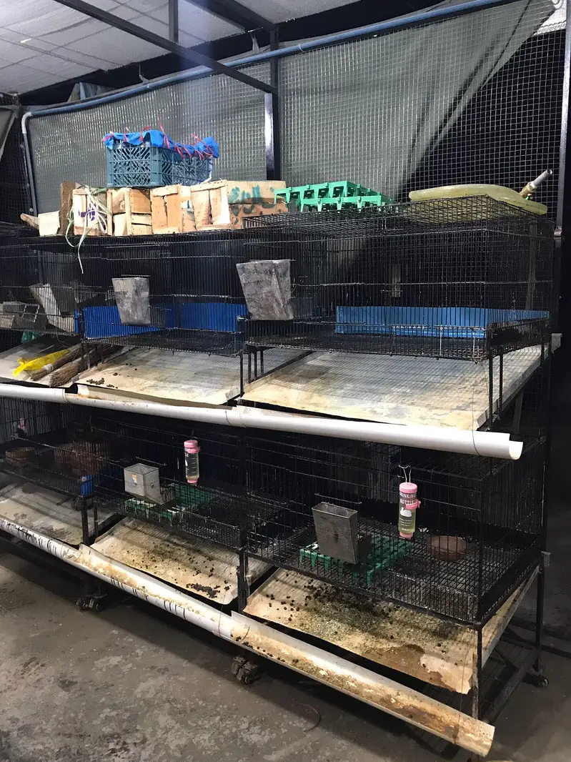 Rabbit Cages All Modified — photo 8