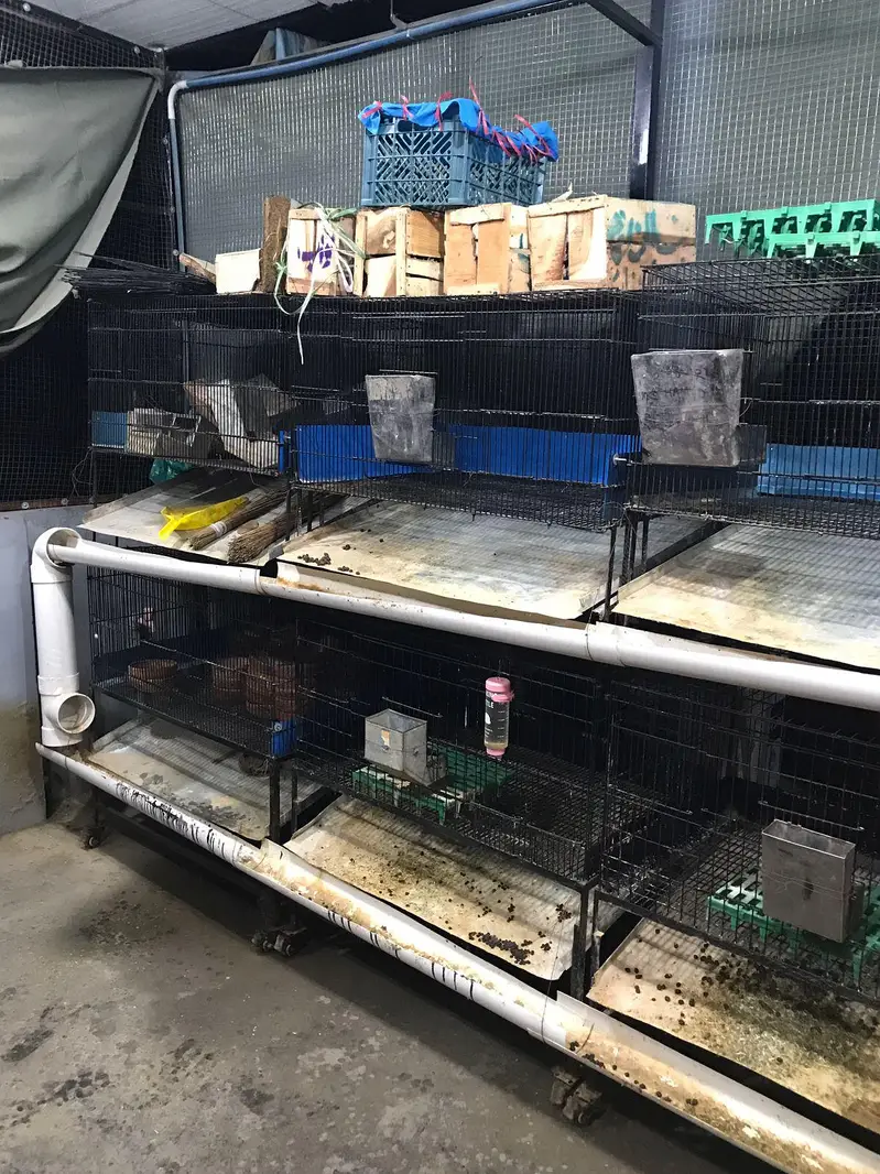 Rabbit Cages All Modified — photo 9