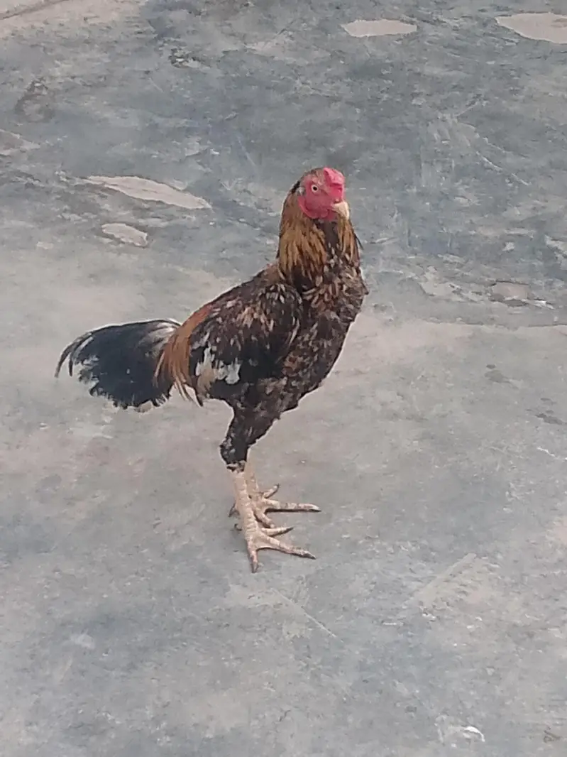 jiss bahi nay Lena ho wo rabta krey — photo 2