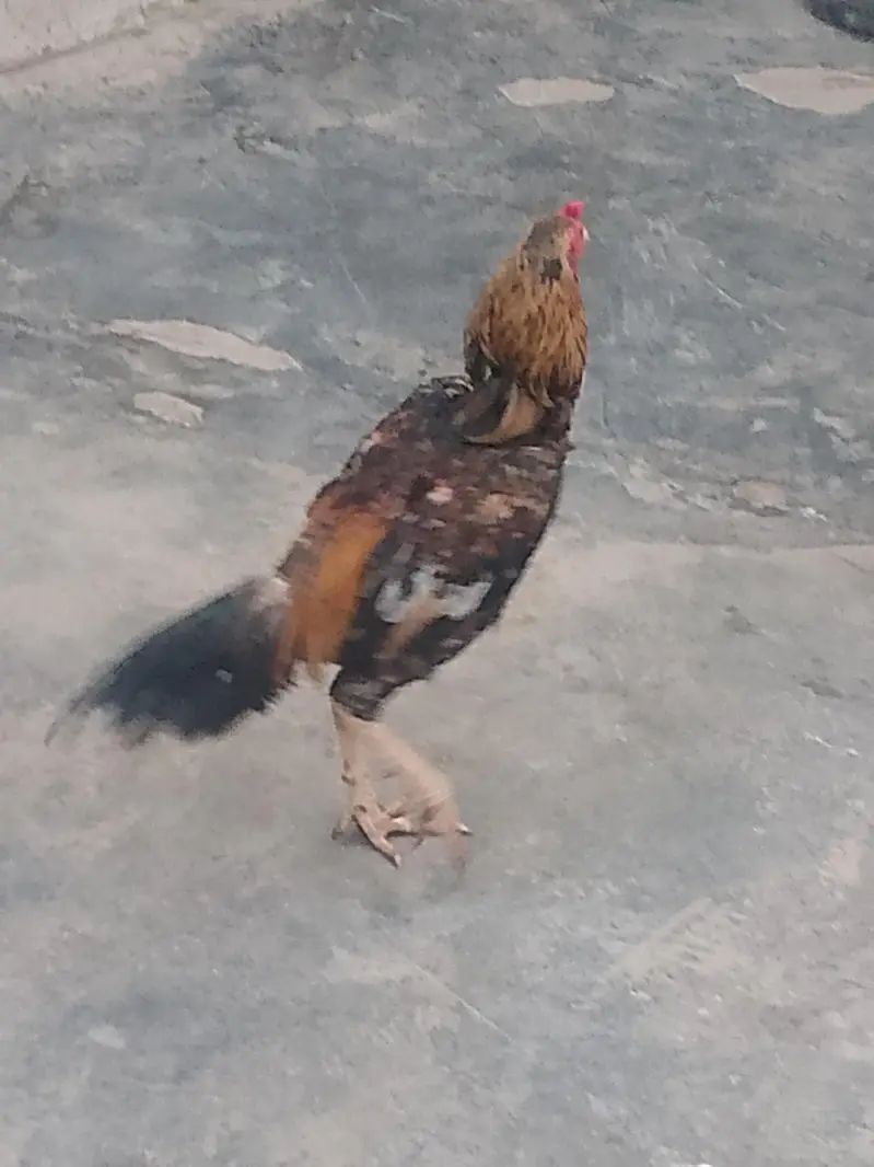 jiss bahi nay Lena ho wo rabta krey — photo 3