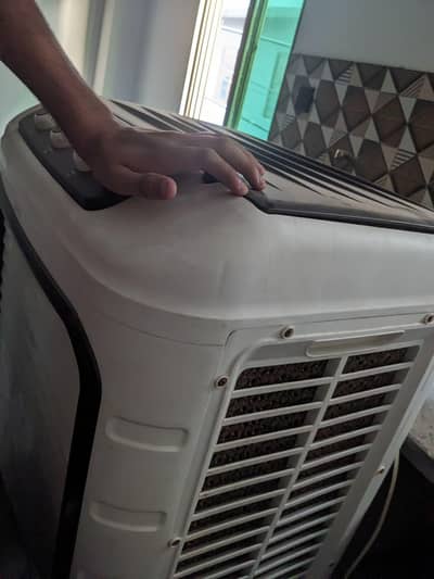 Air Cooler
